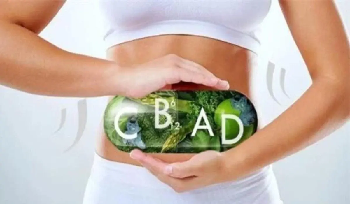 Kilo Verimi Sürecinde Vitaminler: Bilmeniz Gereken 5 Nokta