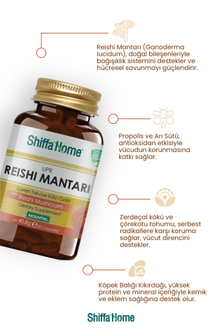Shiffa Home Reishi Mantarı Upr 60 Kapsül