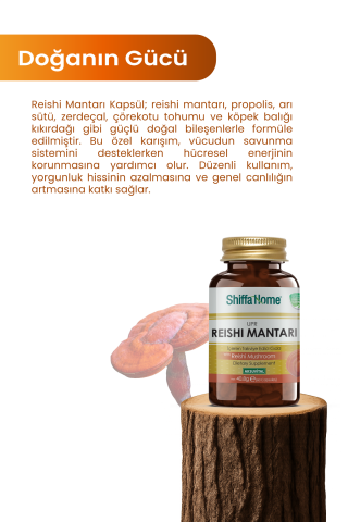 Shiffa Home Reishi Mantarı Upr 60 Kapsül