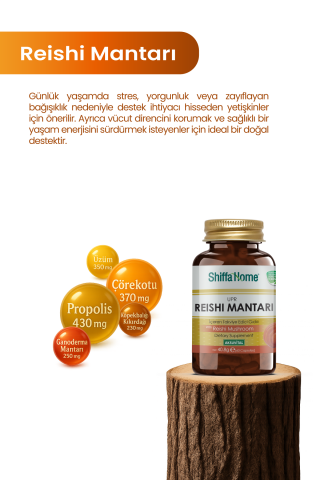 Reishi Mantarı Upr 60 Kapsül