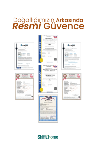 Reishi Mantarı Upr 60 Kapsül