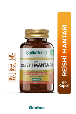 Reishi Mantarı Upr 60 Kapsül