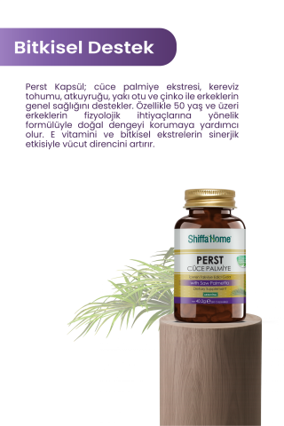 Shiffa Home Perst Cüce Palmiye - 60 Kapsül