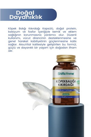 Köpekbalığı Kıkırdağı 60 Kapsül