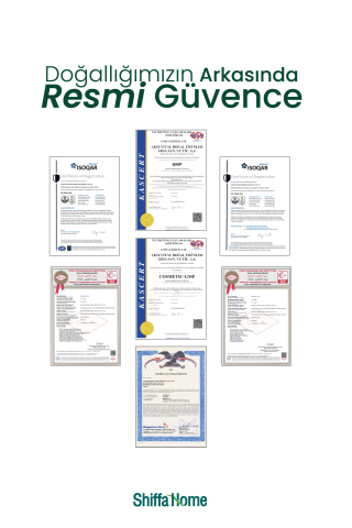 Ginkgo Biloba Kapsül