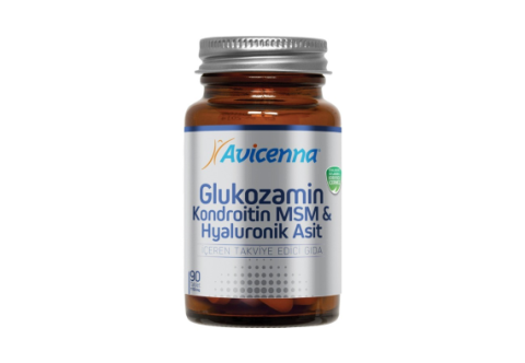 Avicenna Glukozamin MSM 90 Tablet