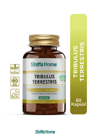 Shiffa Home Trıbulus Terrestrıs Çoban Çökerten Kapsül