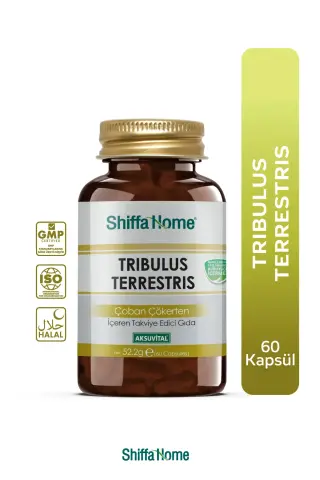 Shiffa Home Tribulus Terrestris Çoban Çökerten 60 Kapsül