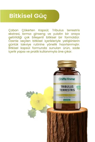 Shiffa Home Tribulus Terrestris Çoban Çökerten 60 Kapsül