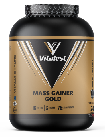 MASS GAİNER GOLD 2400GR - ÇİKOLATA