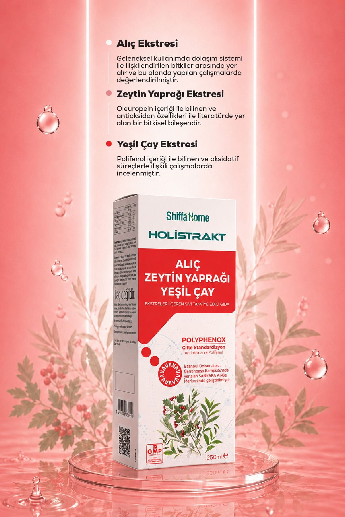 HOLİSTRAKT - Alıç, Zeytinyaprağı ve Yeşilçay İçeren Sıvı Ekstrat 250 ML