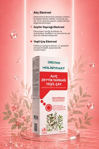 HOLİSTRAKT - Alıç, Zeytinyaprağı ve Yeşilçay İçeren Sıvı Ekstrat 250 ML