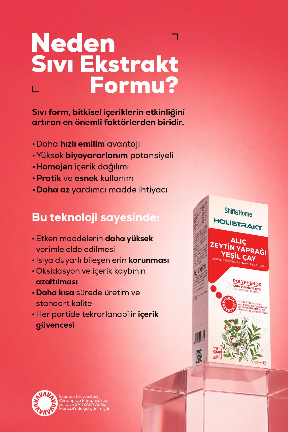 HOLİSTRAKT - Alıç, Zeytinyaprağı ve Yeşilçay İçeren Sıvı Ekstrat 250 ML