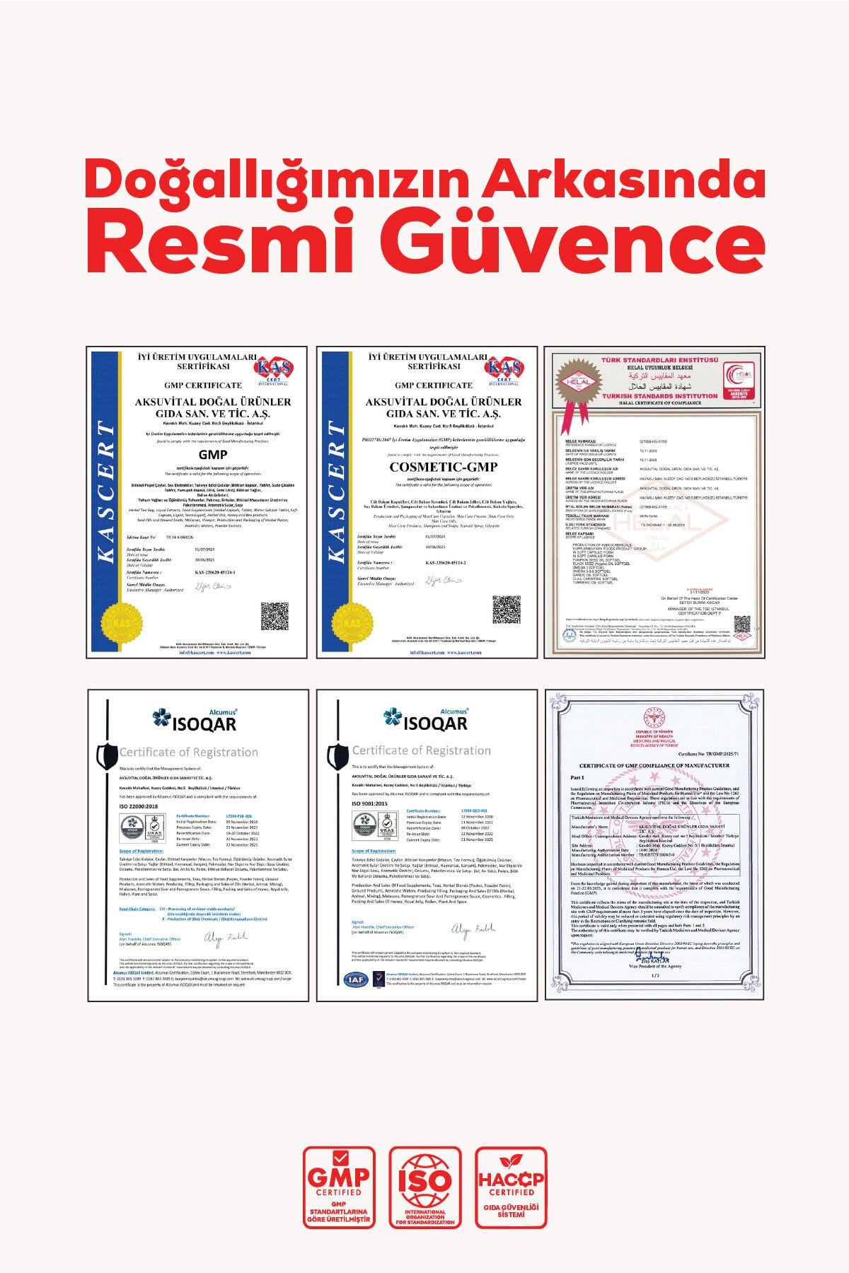 HOLİSTRAKT - Alıç, Zeytinyaprağı ve Yeşilçay İçeren Sıvı Ekstrat 250 ML