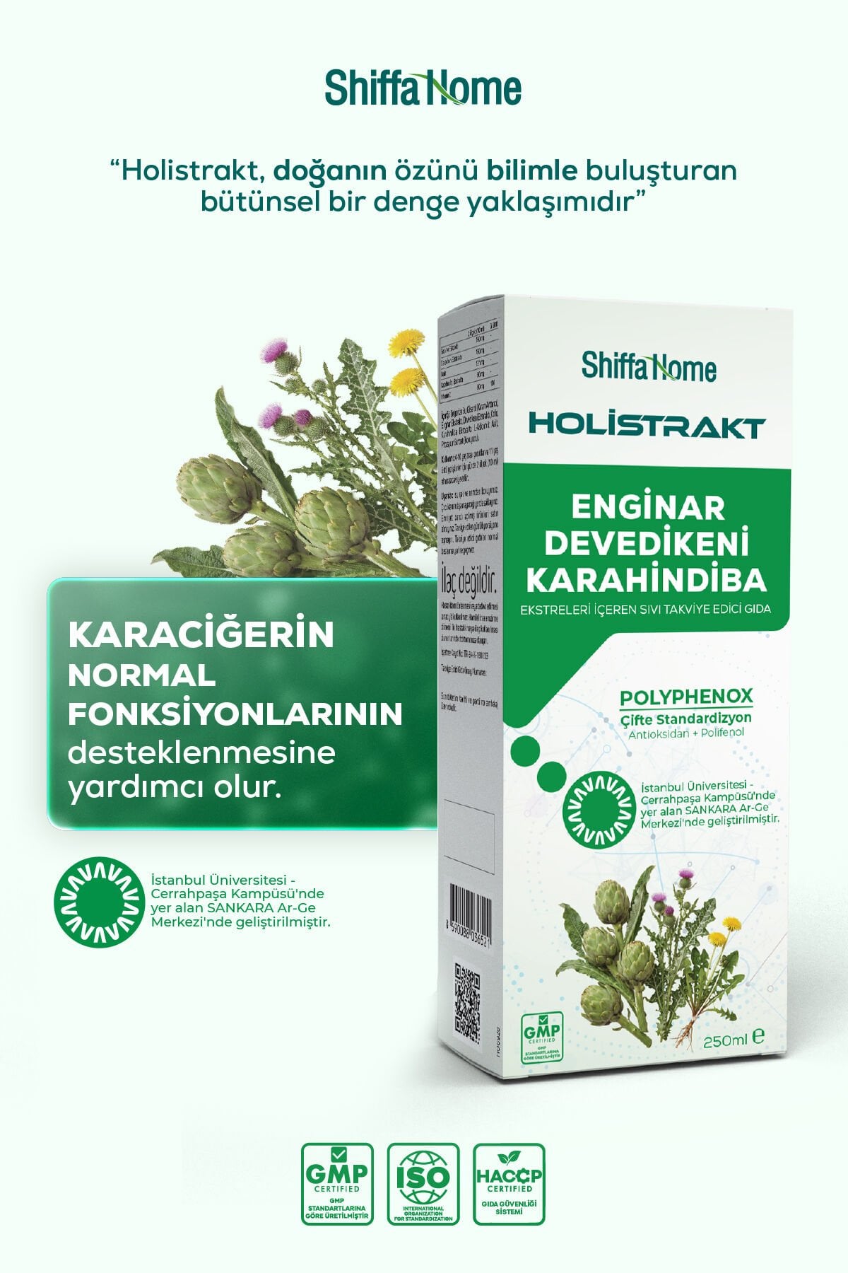 HOLİSTRAKT - Enginar, Devedikeni ve Karahindiba İçeren Sıvı Ekstrat 250 ML