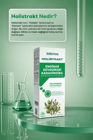 HOLİSTRAKT - Enginar, Devedikeni ve Karahindiba İçeren Sıvı Ekstrat 250 ML