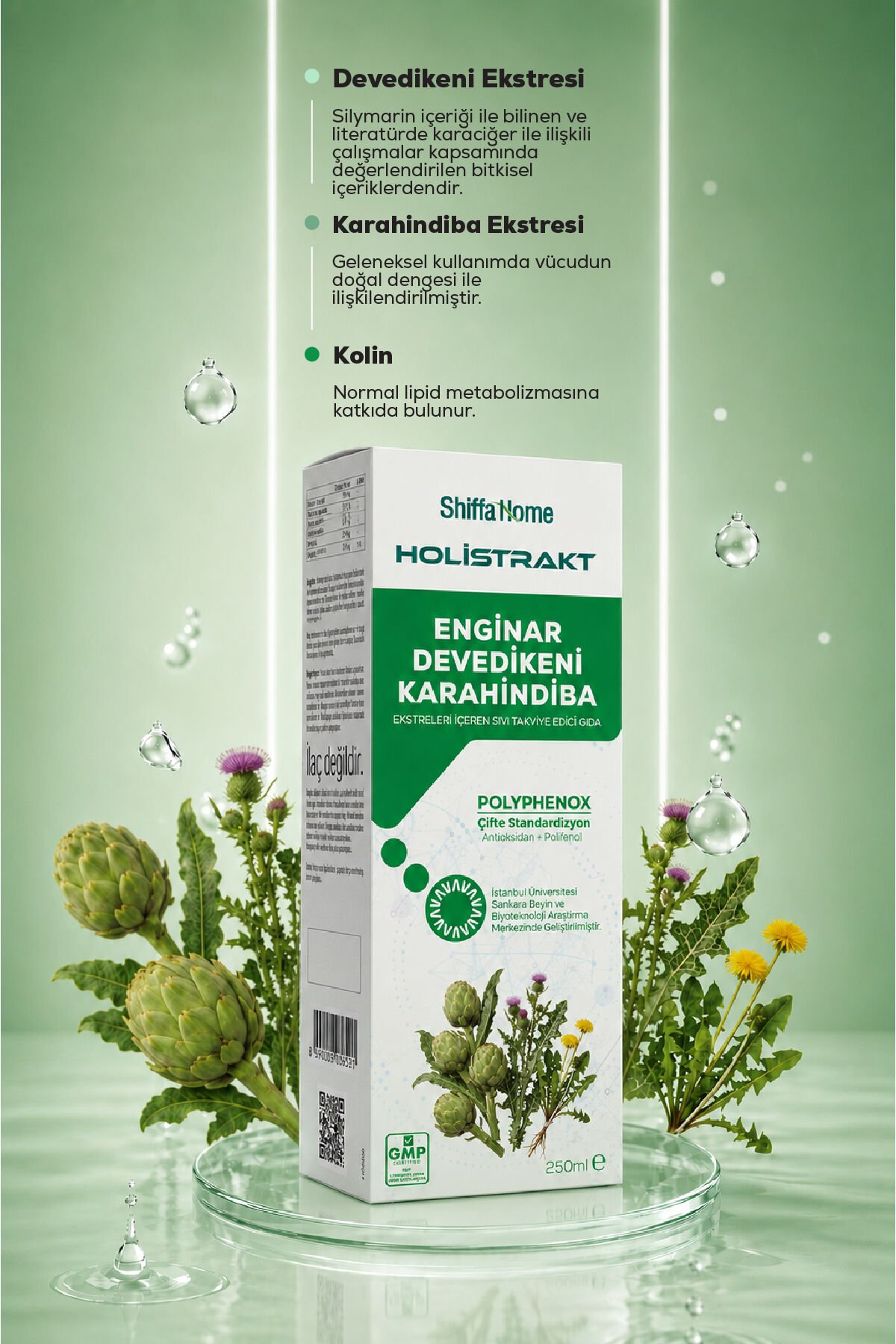 HOLİSTRAKT - Enginar, Devedikeni ve Karahindiba İçeren Sıvı Ekstrat 250 ML