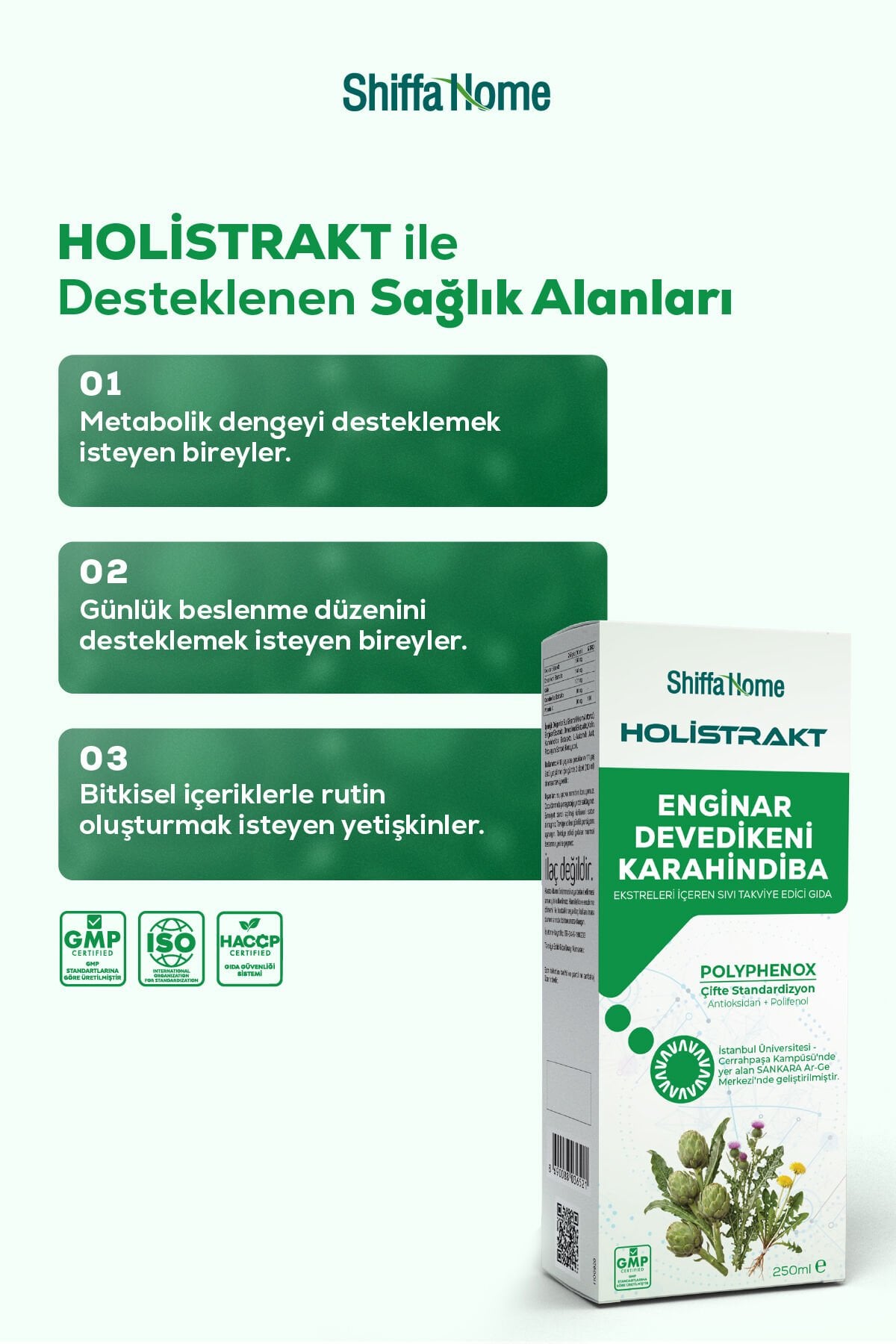 HOLİSTRAKT - Enginar, Devedikeni ve Karahindiba İçeren Sıvı Ekstrat 250 ML
