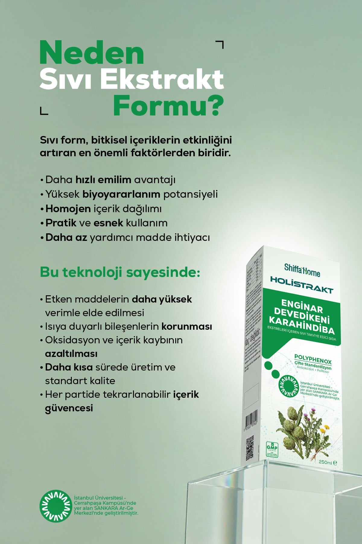 HOLİSTRAKT - Enginar, Devedikeni ve Karahindiba İçeren Sıvı Ekstrat 250 ML