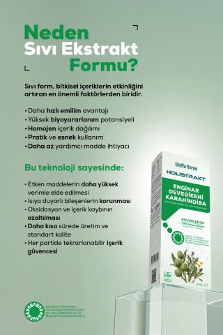 HOLİSTRAKT - Enginar, Devedikeni ve Karahindiba İçeren Sıvı Ekstrat 250 ML
