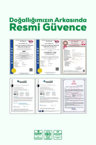 HOLİSTRAKT - Enginar, Devedikeni ve Karahindiba İçeren Sıvı Ekstrat 250 ML