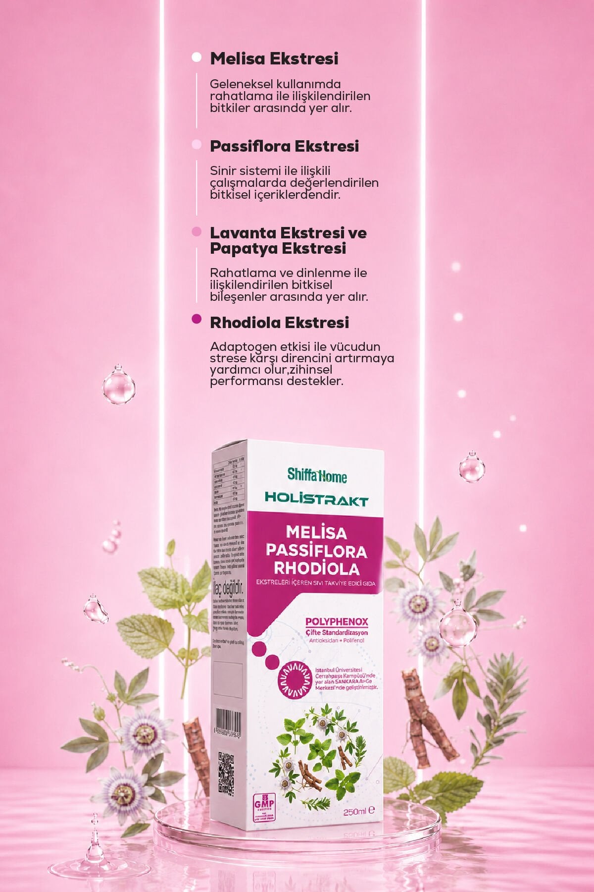 Shiffa Home HOLİSTRAKT - Melisa, Passiflora ve Rhodiola İçeren Sıvı Ekstrat Bitkisel Takviye 250 ML