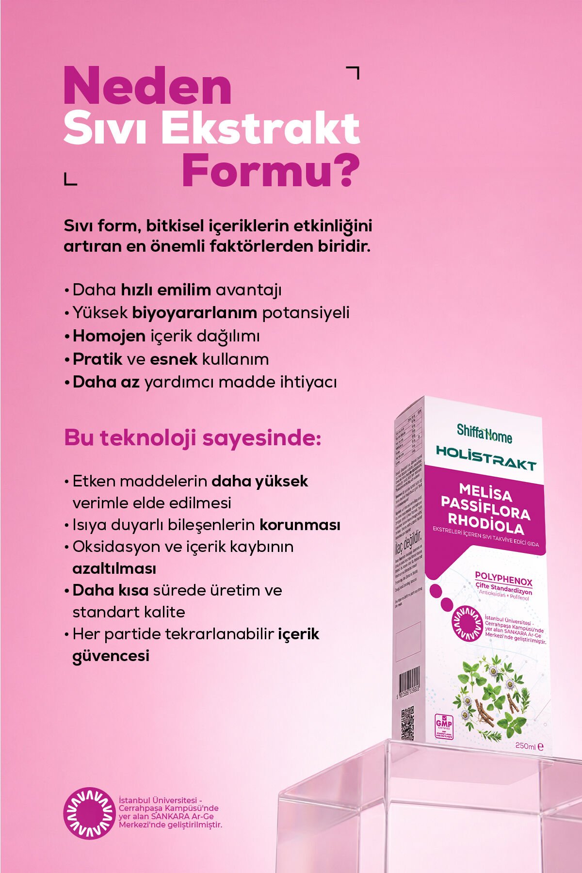 HOLİSTRAKT - Melisa, Passiflora ve Rhodiola İçeren Sıvı Ekstrat 250 ML