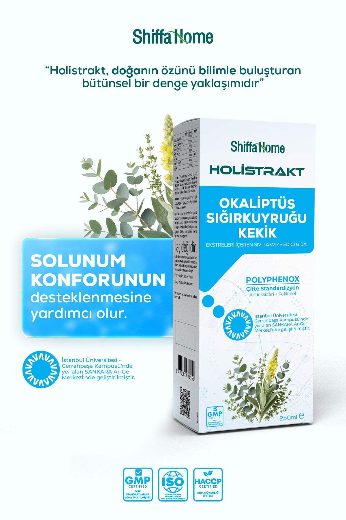 Shiffa Home HOLİSTRAKT - Okaliptus, Sığırkuyruğu ve Kekik İçeren Sıvı Ekstrat Bitkisel Takviye 250 ML