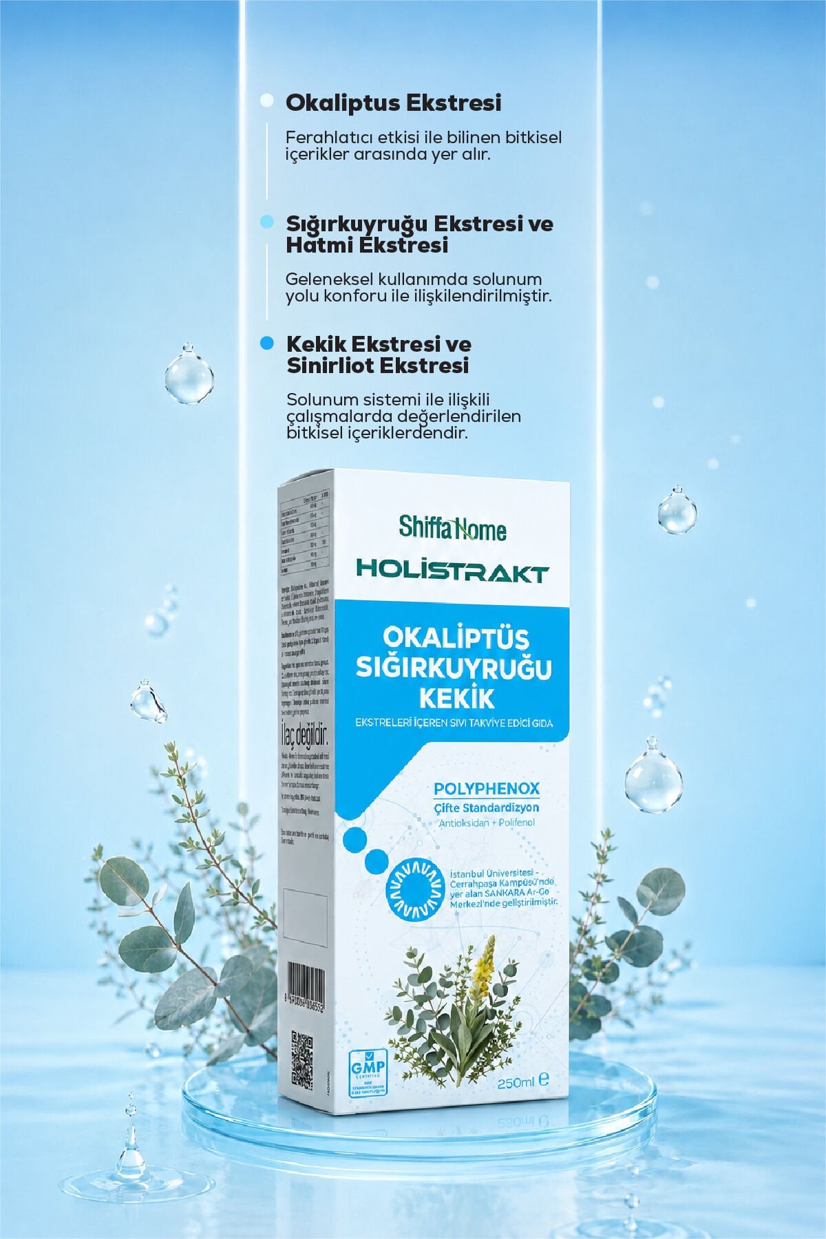 Shiffa Home HOLİSTRAKT - Okaliptus, Sığırkuyruğu ve Kekik İçeren Sıvı Ekstrat Bitkisel Takviye 250 ML