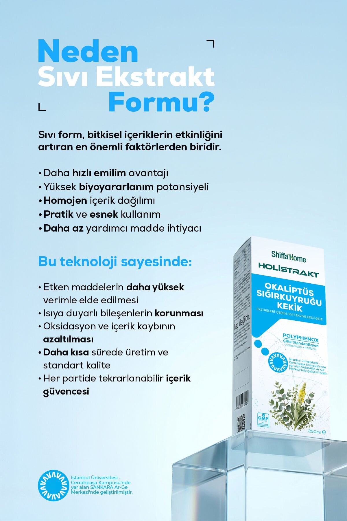 HOLİSTRAKT - Okaliptus, Sığırkuyruğu ve Kekik İçeren Sıvı Ekstrat 250 ML