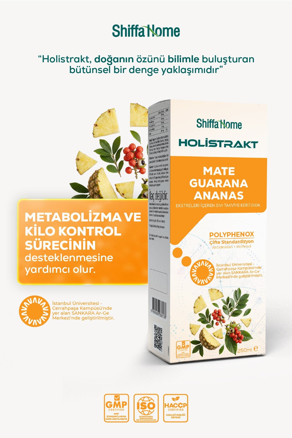 HOLİSTRAKT - Guarana, Mate, Yeşil Çay, Ananas İçeren Sıvı Ekstrat 250 ML