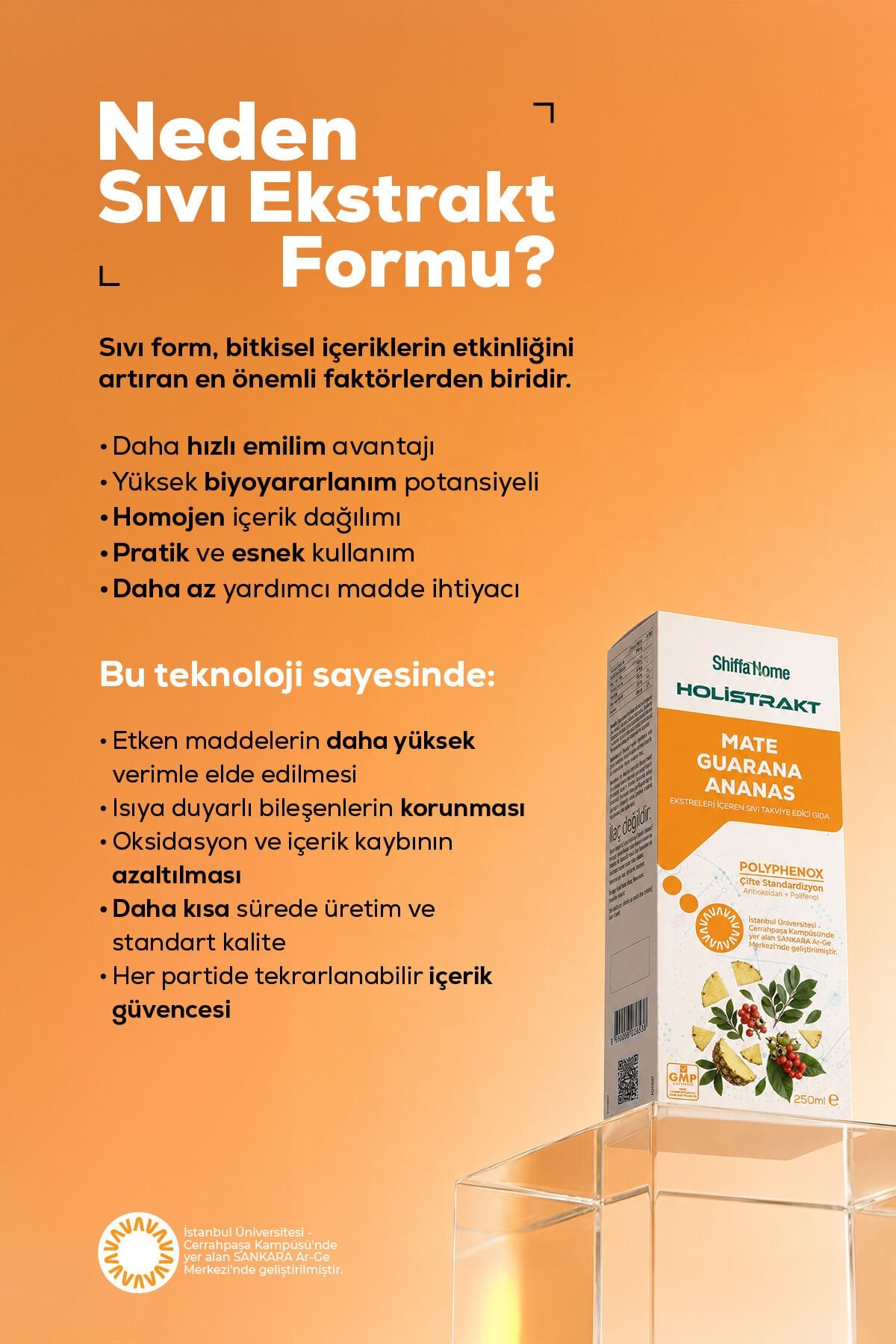 HOLİSTRAKT - Guarana, Mate, Yeşil Çay, Ananas İçeren Sıvı Ekstrat 250 ML